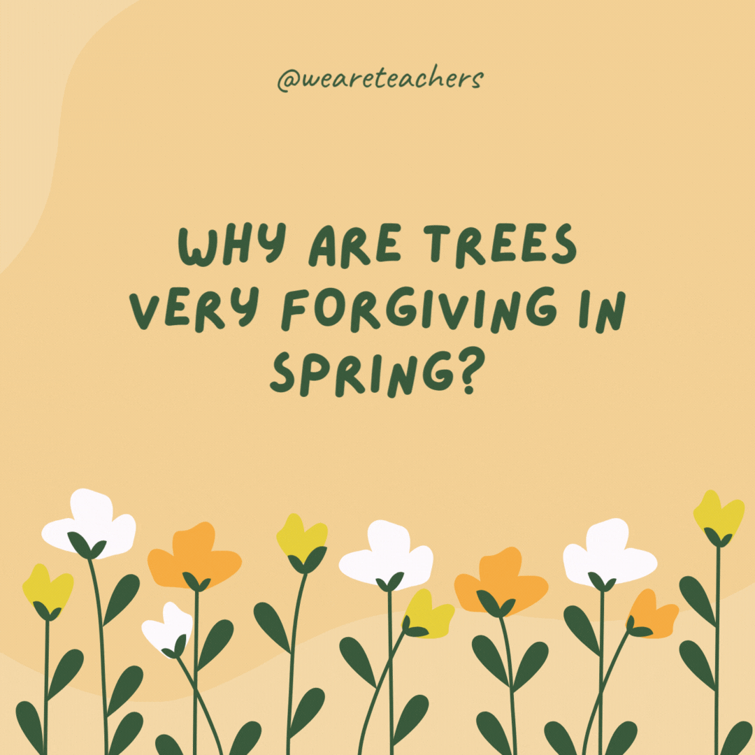 Why are trees very forgiving in spring?

Because they 