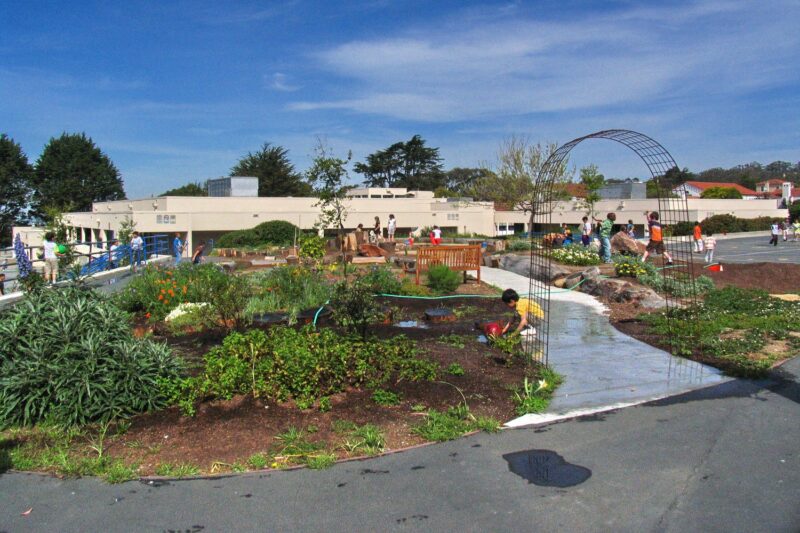 Chlldren in a schoolyard garden in San Francisco