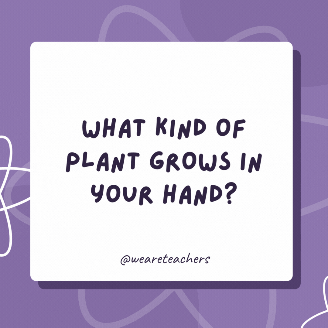 What kind of plant grows in your hand?

A palm tree.