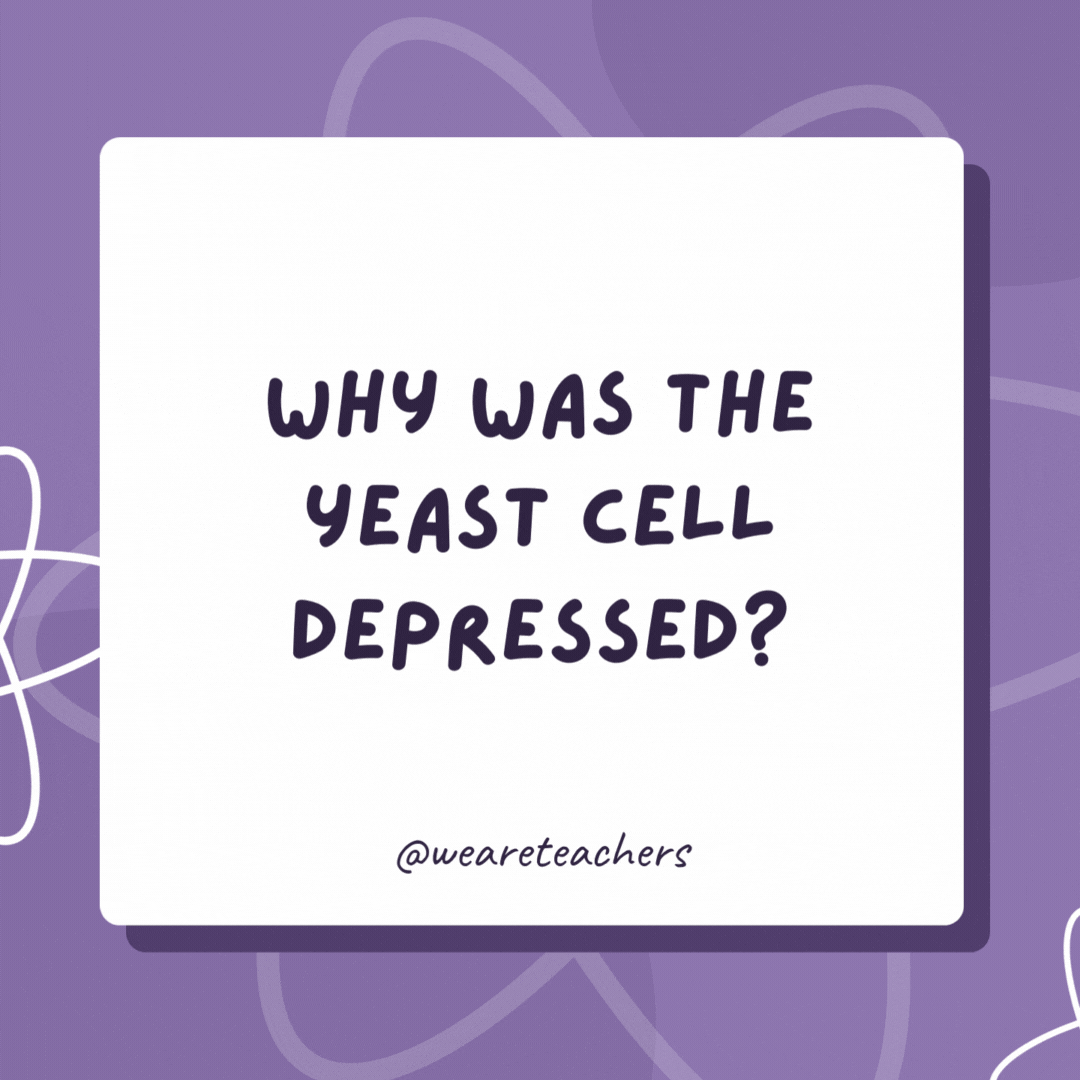 Why was the yeast cell depressed?

Her parents just split.