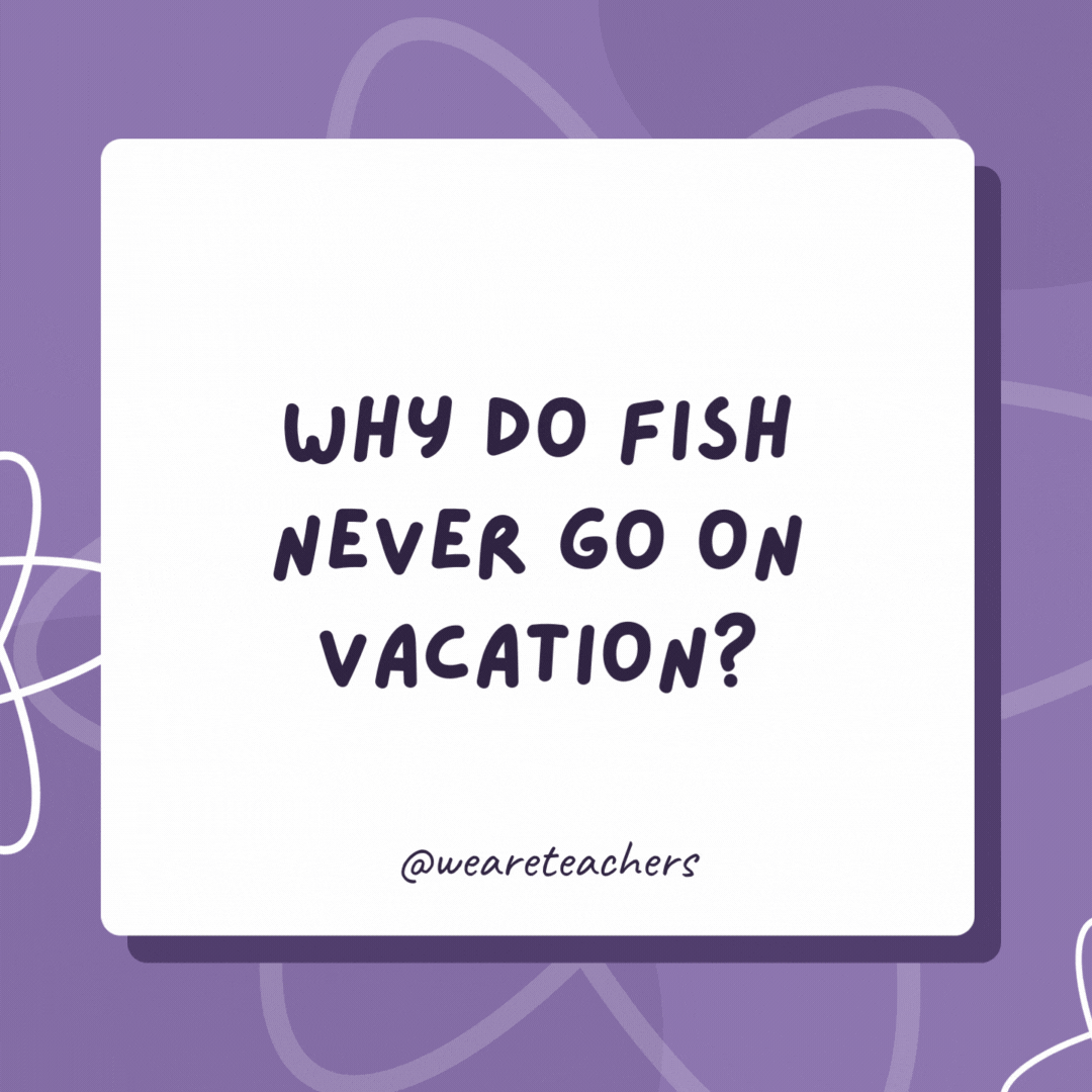 Why do fish never go on vacation?

 Because they are always in school.- biology jokes