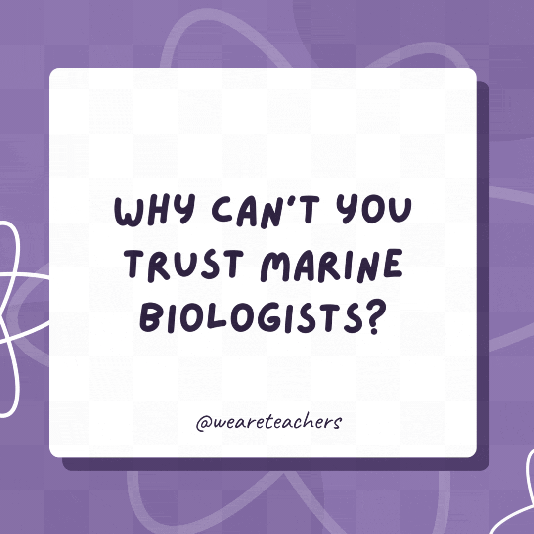 Why can’t you trust marine biologists?

Something about them feels ... fishy!