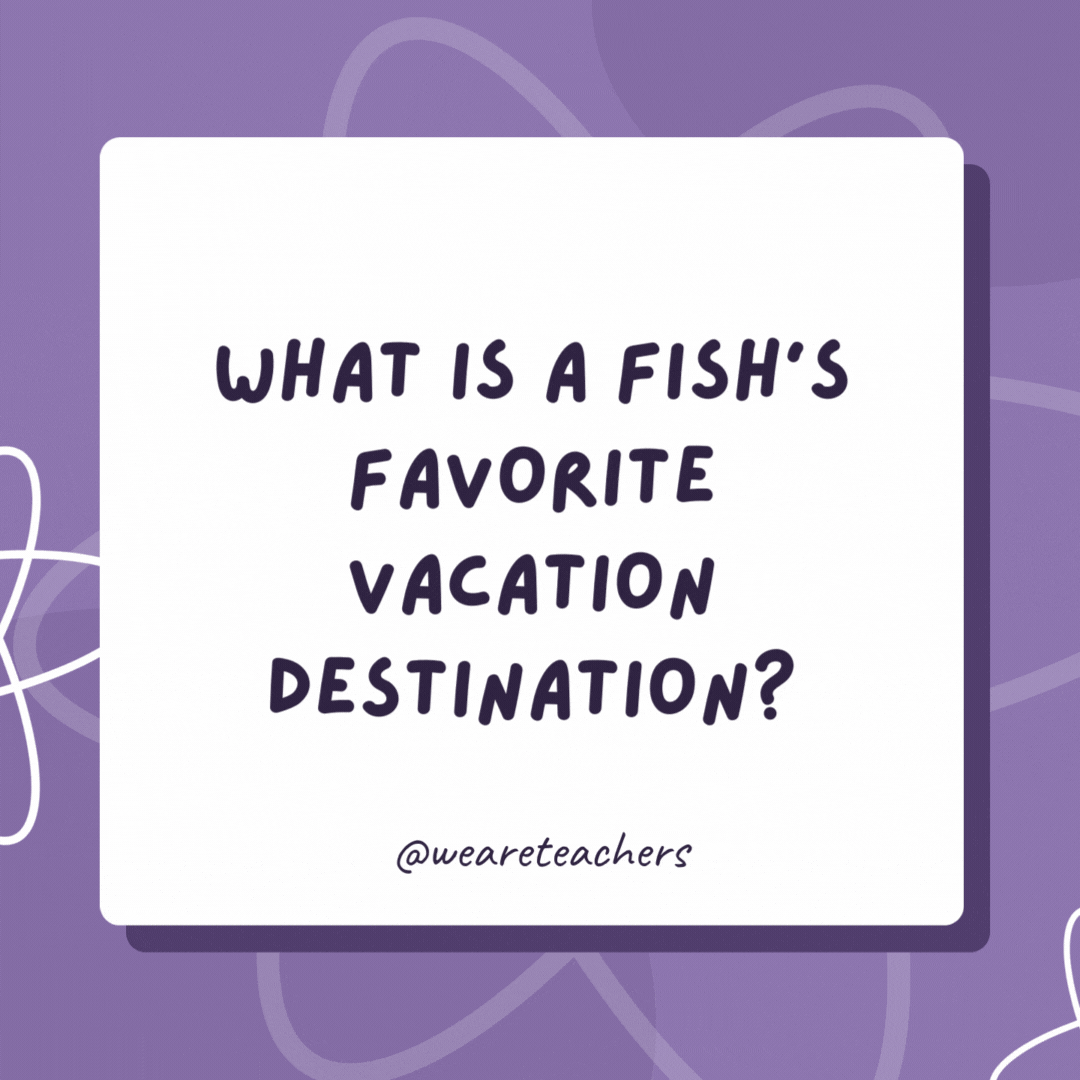 What is a fish’s favorite vacation destination?

Finland.
