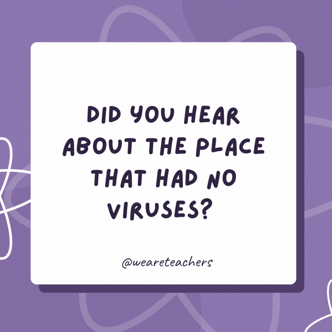 Did you hear about the place that had no viruses? 

They all flu away.