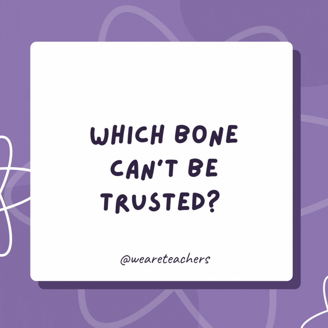 Which bone can’t be trusted? 

The fib-ula.