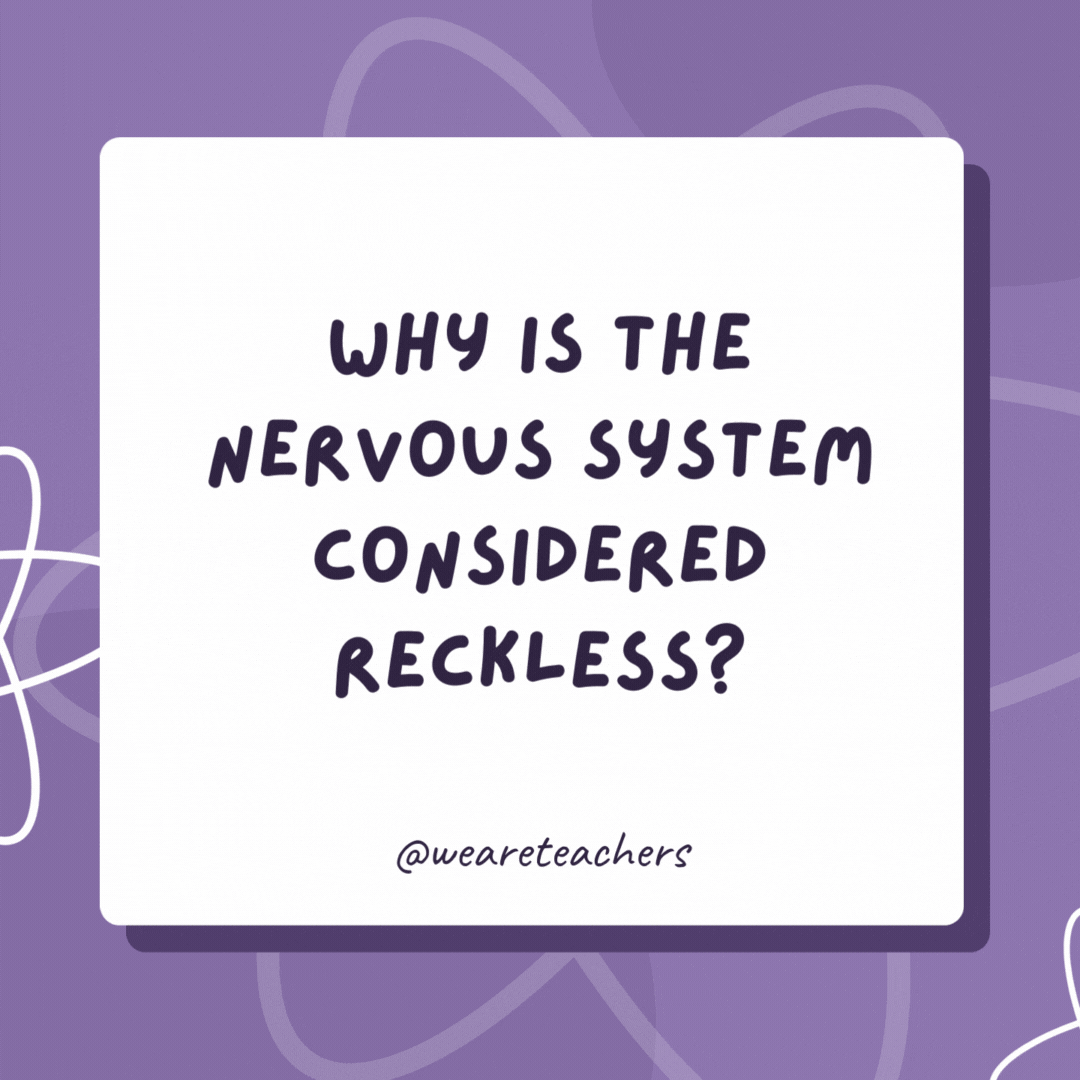 Why is the nervous system considered reckless?

Because it does everything on impulse.
