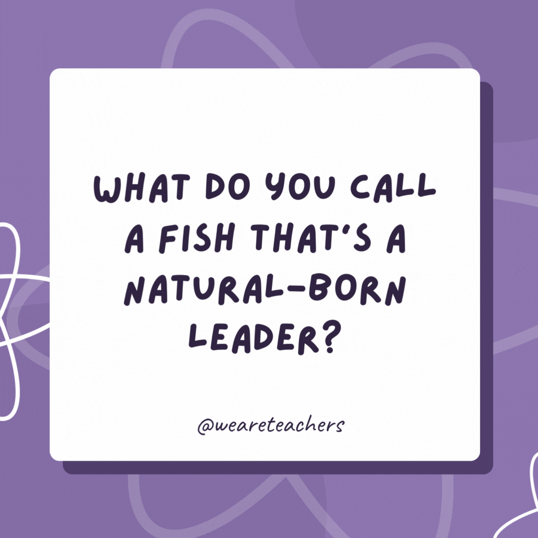 What do you call a fish that’s a natural-born leader?

A school principal.- biology jokes