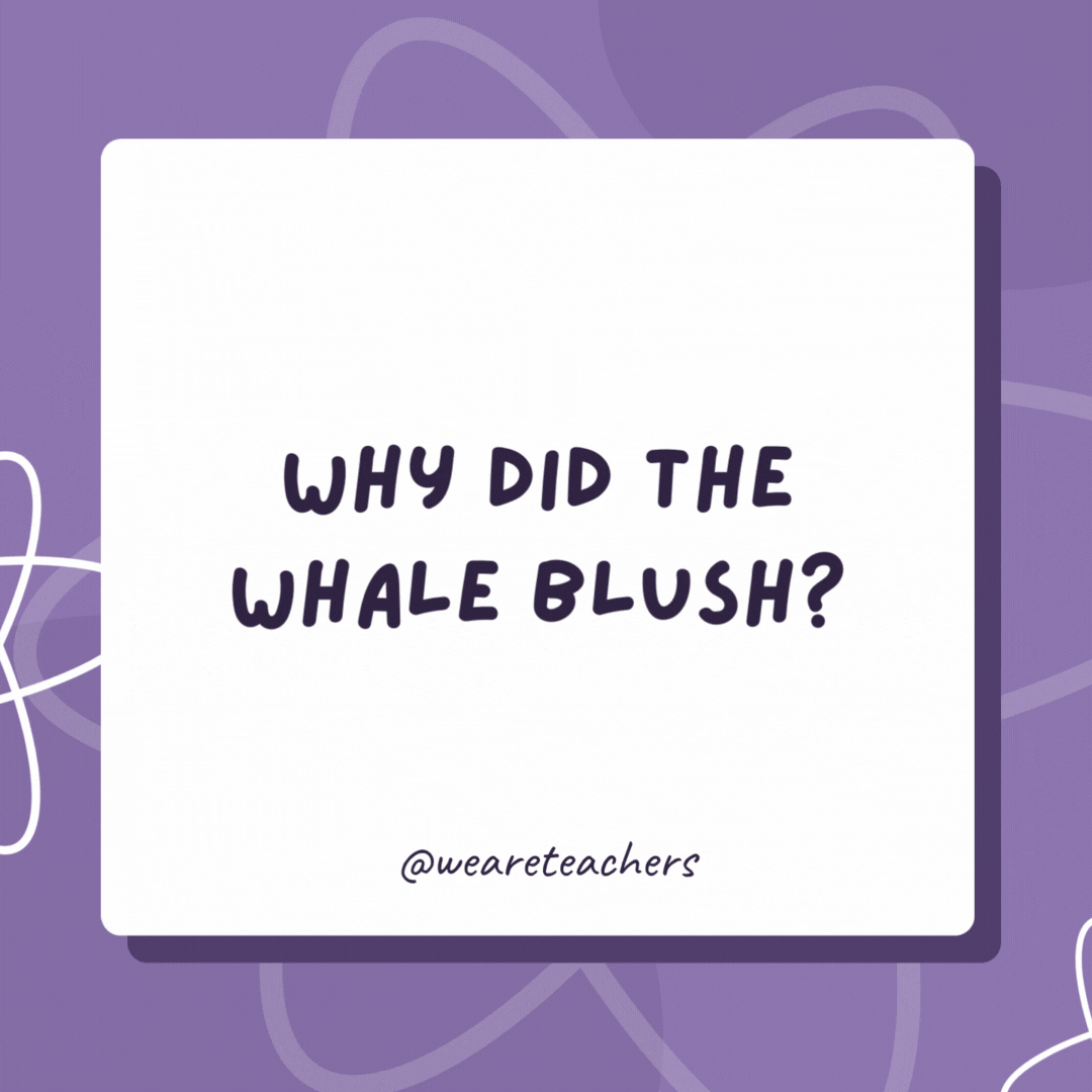 Why did the whale blush?

Because it saw the ocean’s bottom!