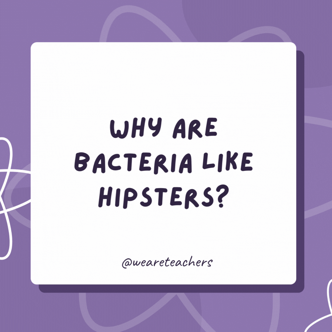 Why are bacteria like hipsters?

They were on Earth long before it was cool.