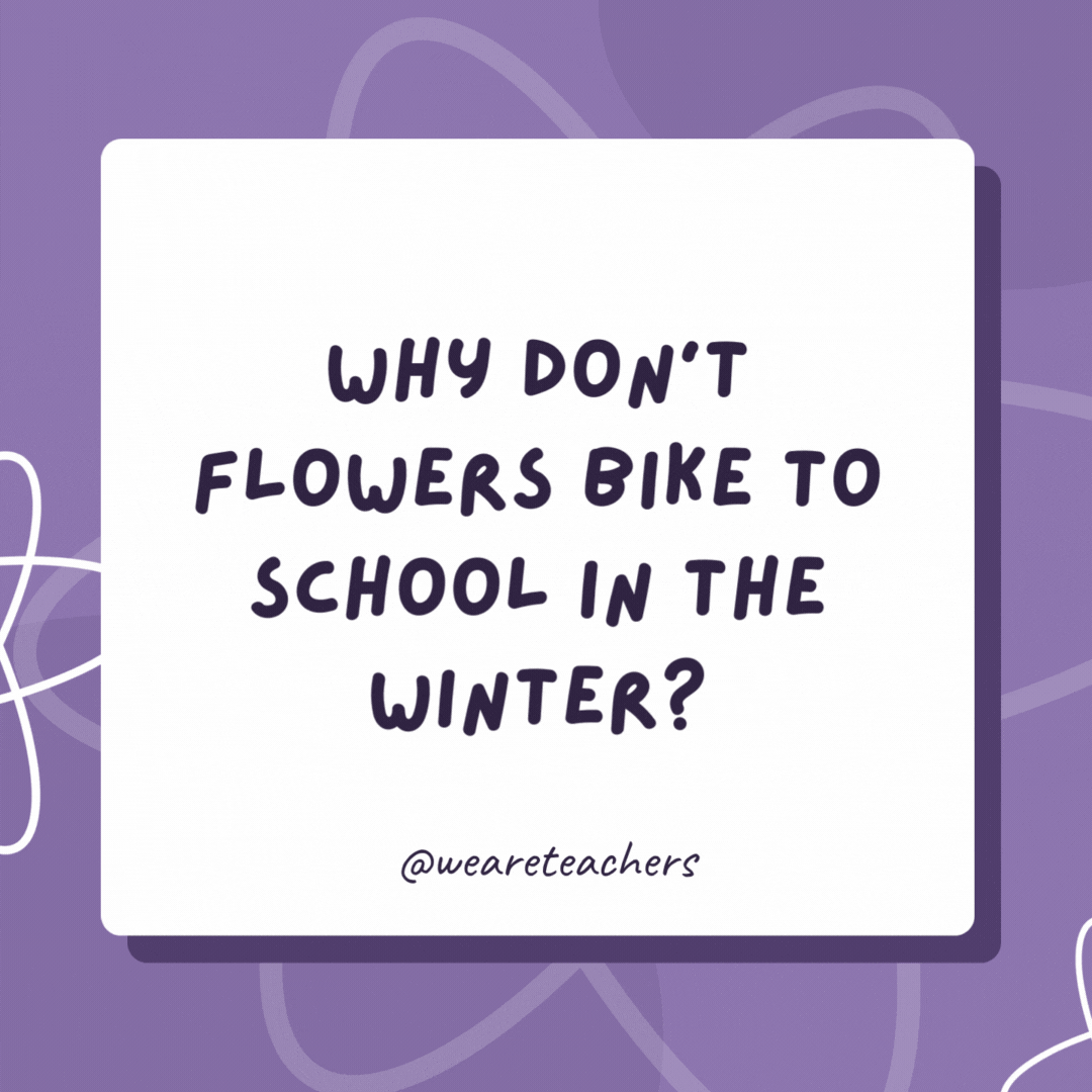 Why don’t flowers bike to school in the winter?

They lose all their petals.