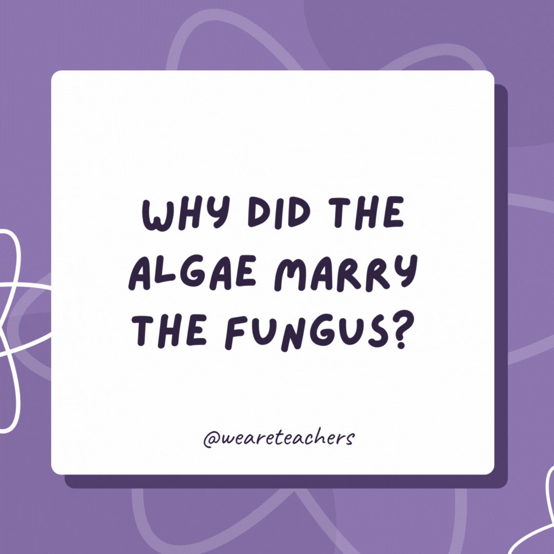 Why did the algae marry the fungus?

They took a lichen to each other.- biology jokes