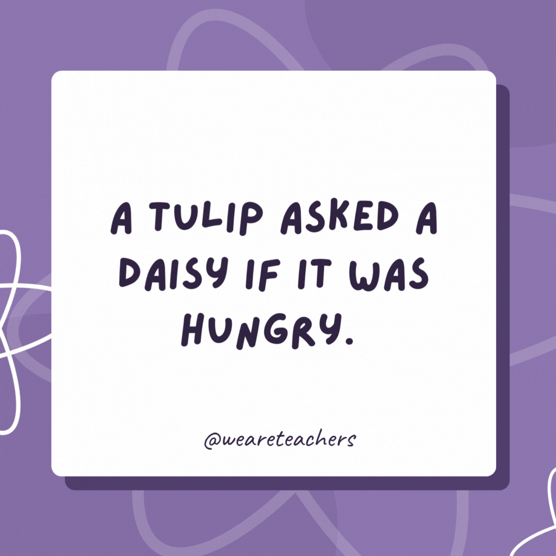 A tulip asked a daisy if it was hungry. 

The daisy said, “I really could go for a light snack.”- biology jokes