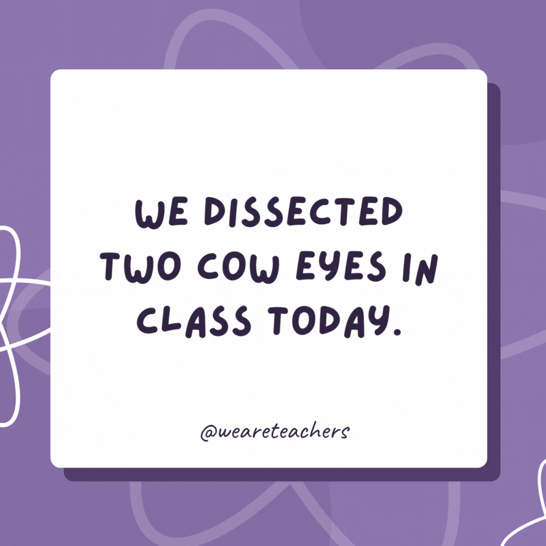 We dissected two cow eyes in class today.

The jokes got cornea and cornea!- biology jokes