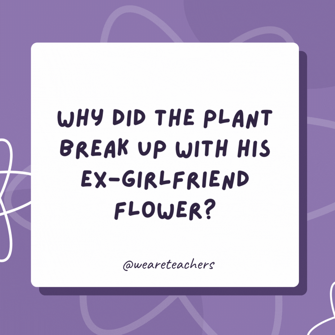 Why did the plant break up with his ex-girlfriend flower?

She has a real violet streak.