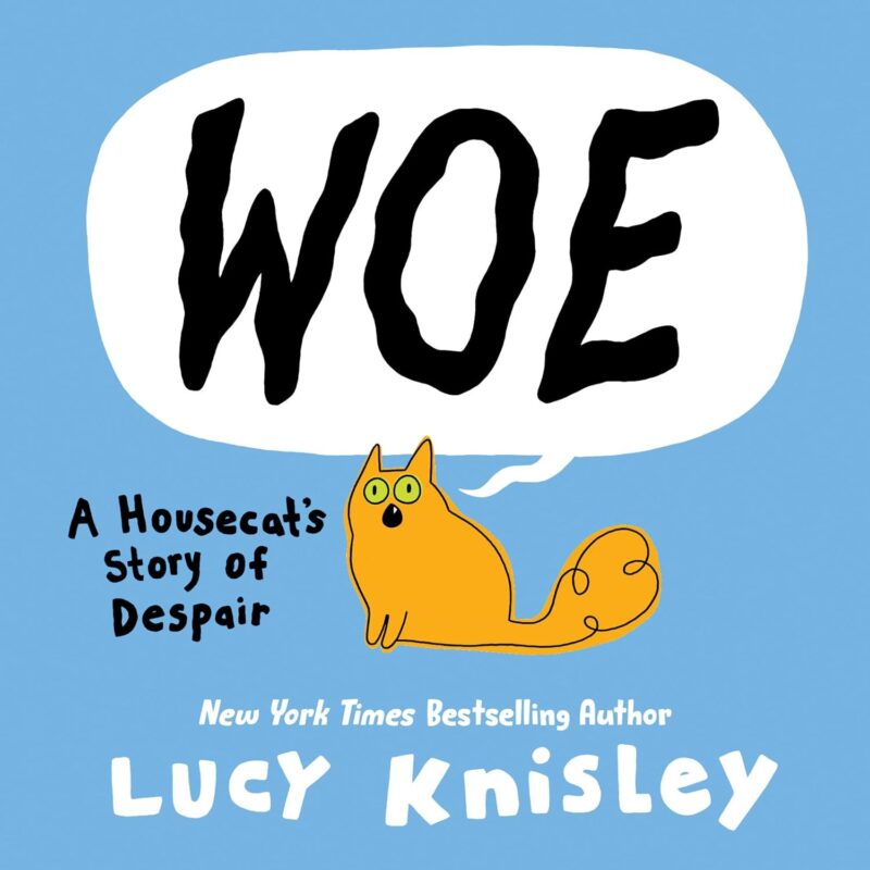 Woe book cover