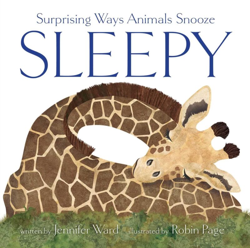 Sleepy book cover