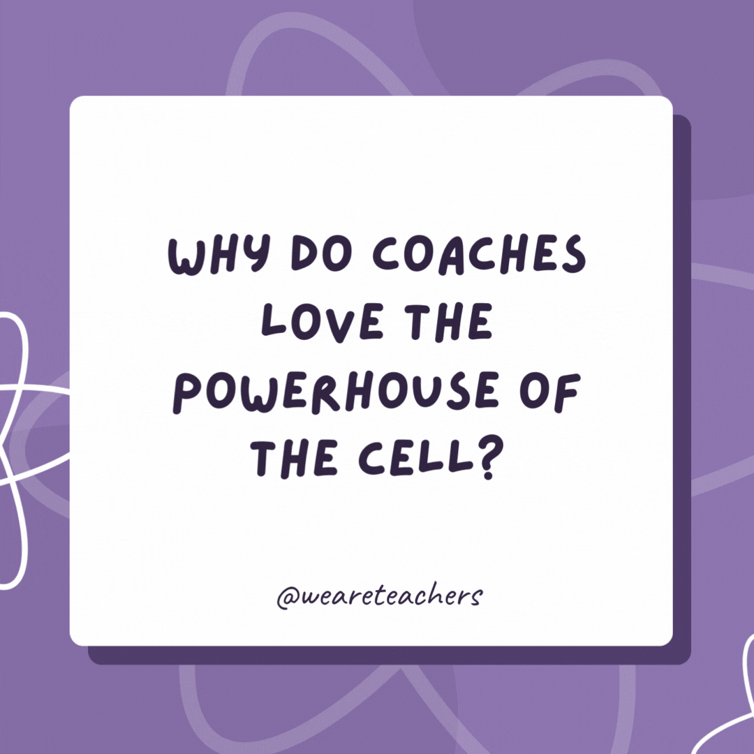 Why do coaches love the powerhouse of the cell? 

Because mitochondria have a “CHON-do” attitude.