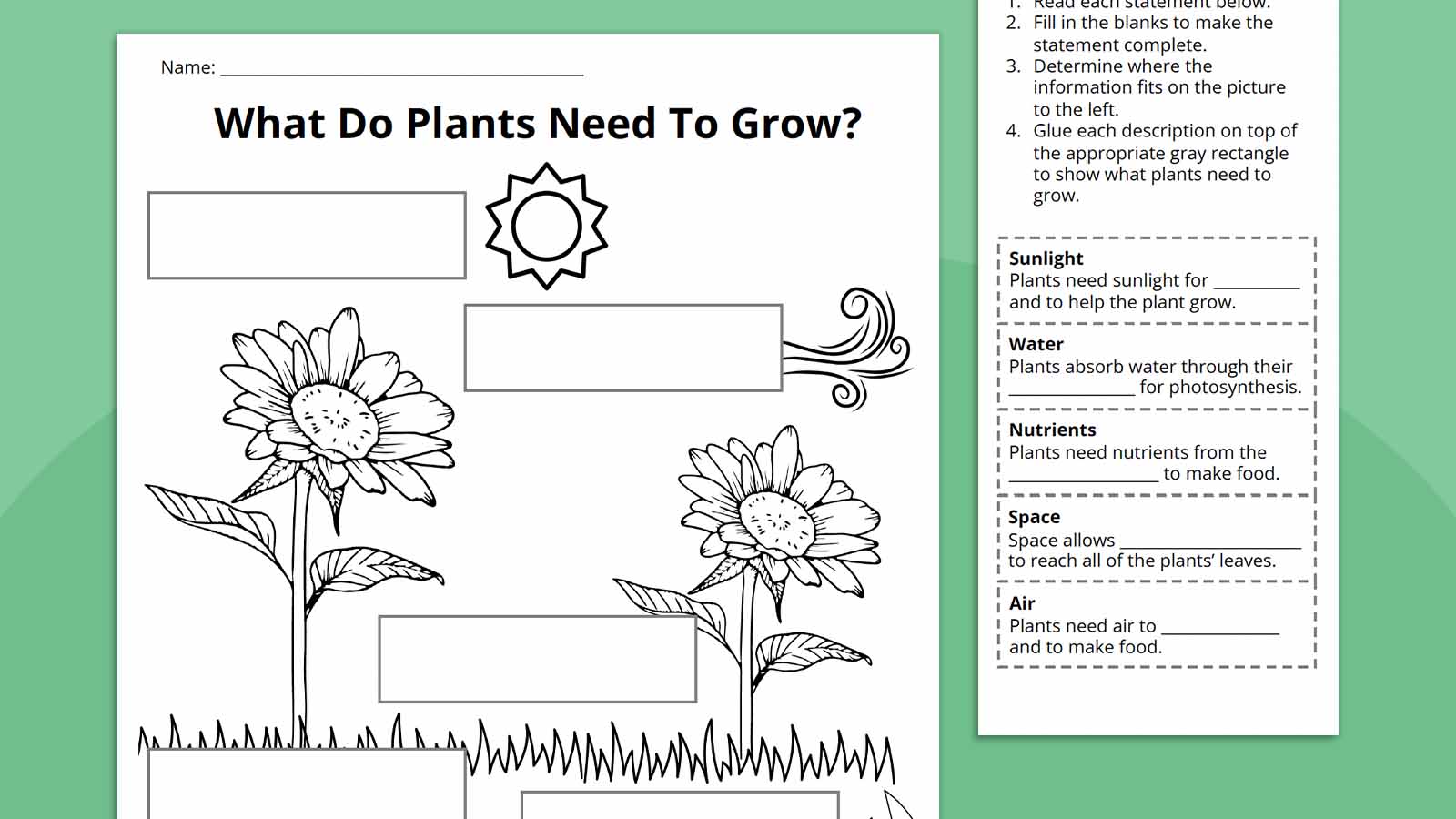 Life Cycle of The Plant What do plants need to grow?