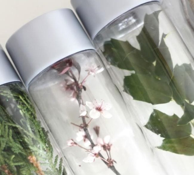 Clear bottles filled with a variety of natural items like leaves and flowers
