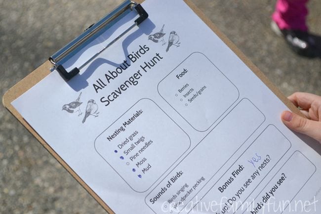 Clipboard with an All About Birds scavenger hunt worksheet