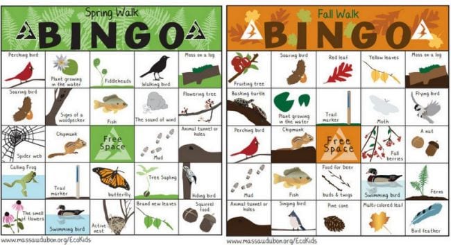 Two nature bingo cards with items like birds, trees, and more