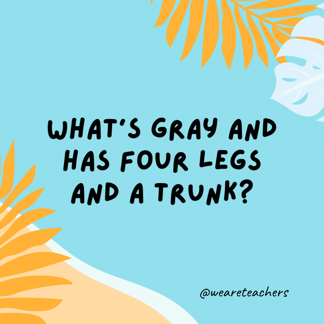What’s gray and has four legs and a trunk? A mouse on vacation.- funny summer jokes for kids