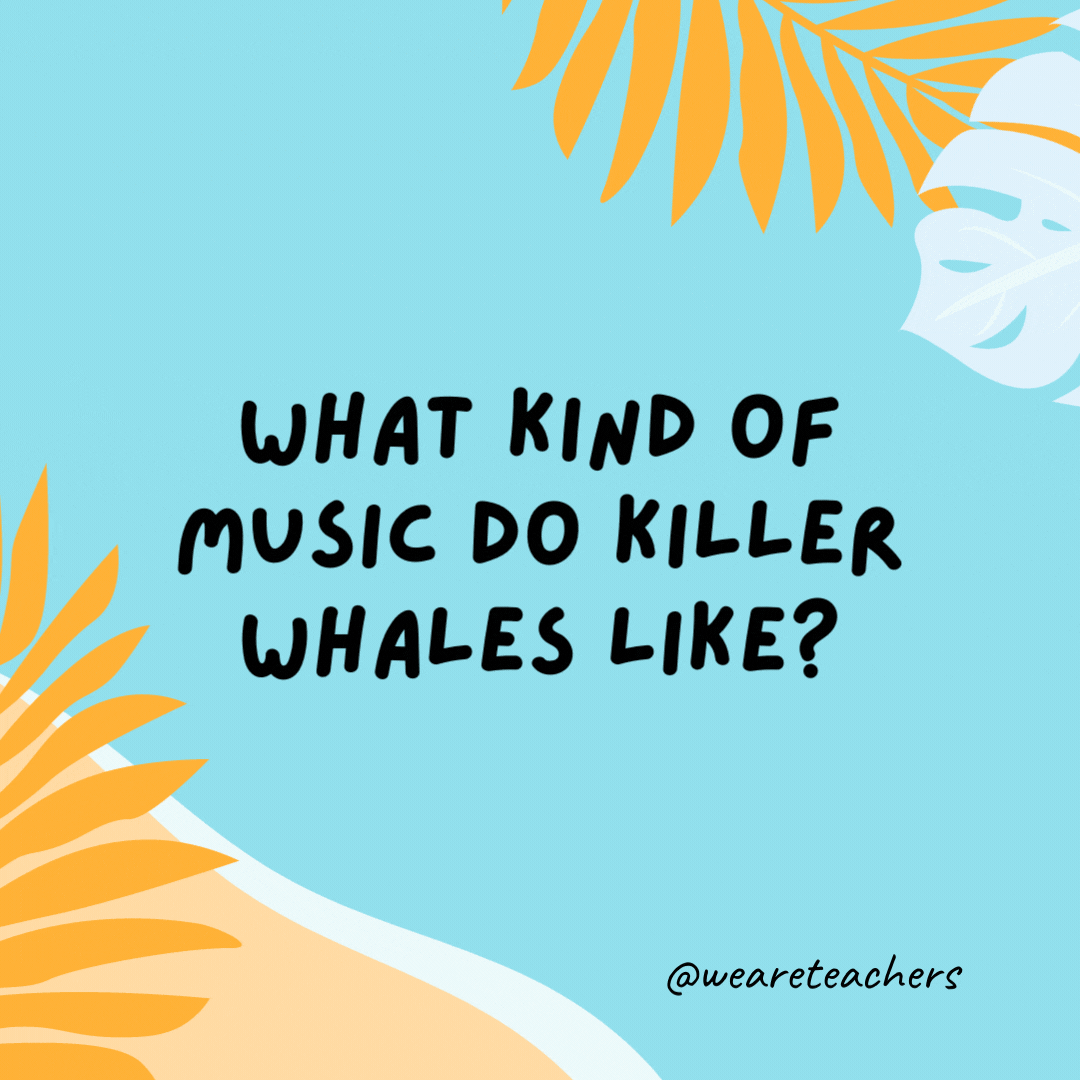 What kind of music do killer whales like? They listen to the orca-stra.- funny summer jokes for kids