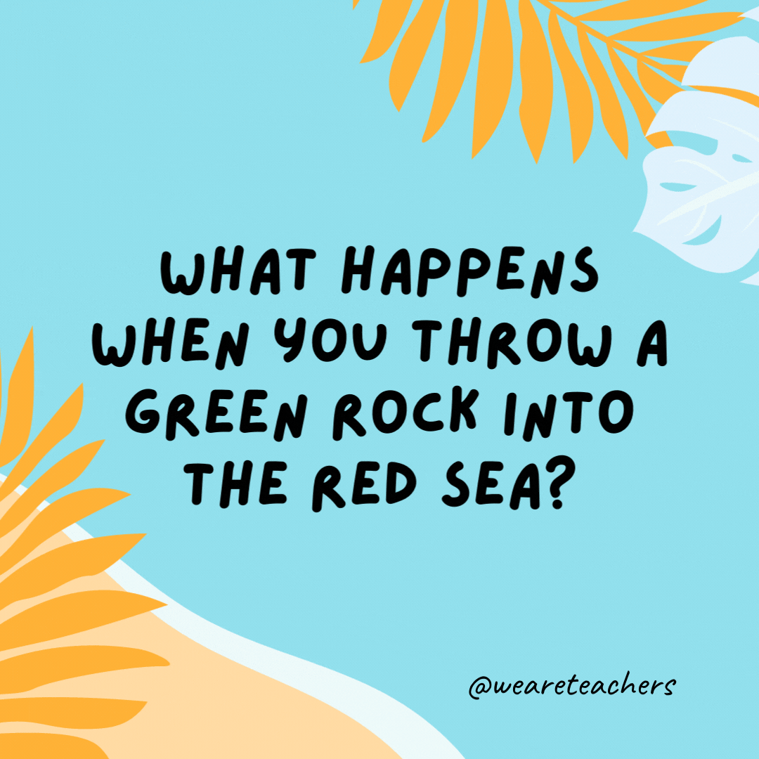 What happens when you throw a green rock into the Red Sea? It gets wet.- funny summer jokes for kids