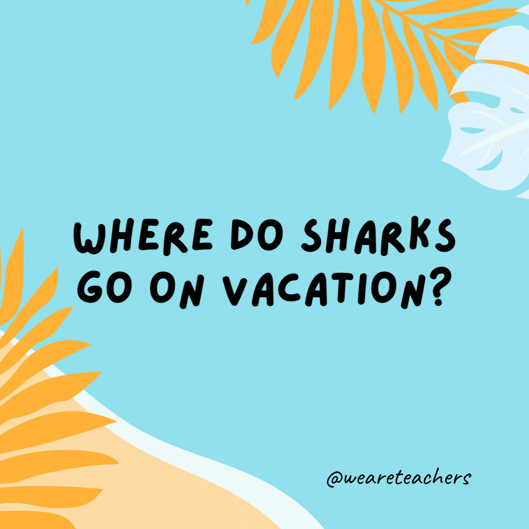 Where do sharks go on vacation? Finland.- funny summer jokes for kids
