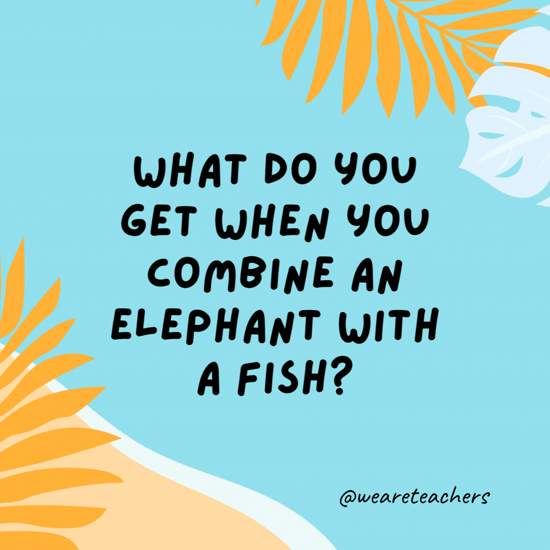 What do you get when you combine an elephant with a fish? Swimming trunks.- funny summer jokes for kids