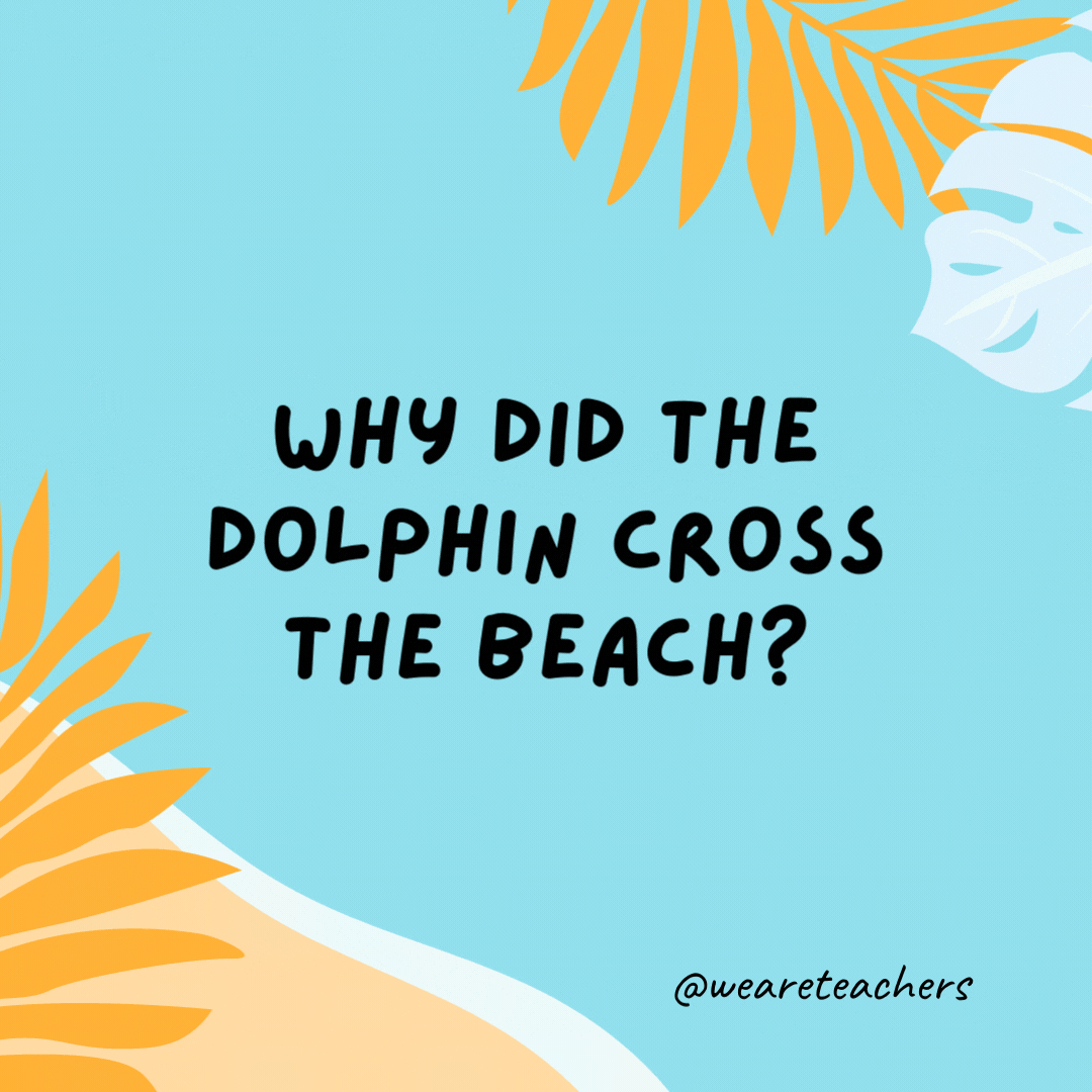 Why did the dolphin cross the beach? To get to the other tide.- funny summer jokes for kids