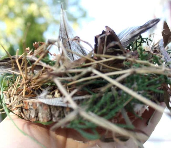 Small nest built from sticks, yarn, feathers, and more