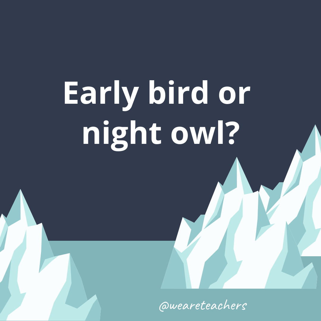 Early bird or night owl?