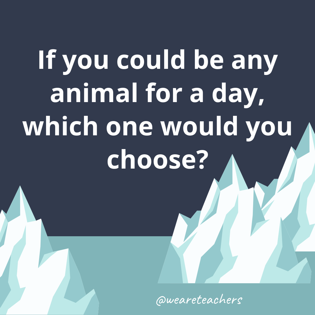 If you could be any animal for a day, which one would you choose?- fun icebreaker questions