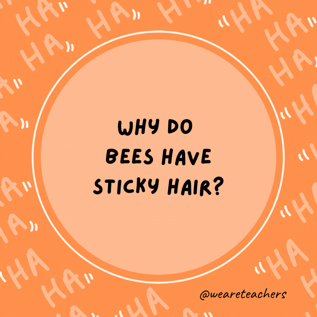Why do bees have sticky hair? Because they use a honeycomb, as an example of dad jokes for kids