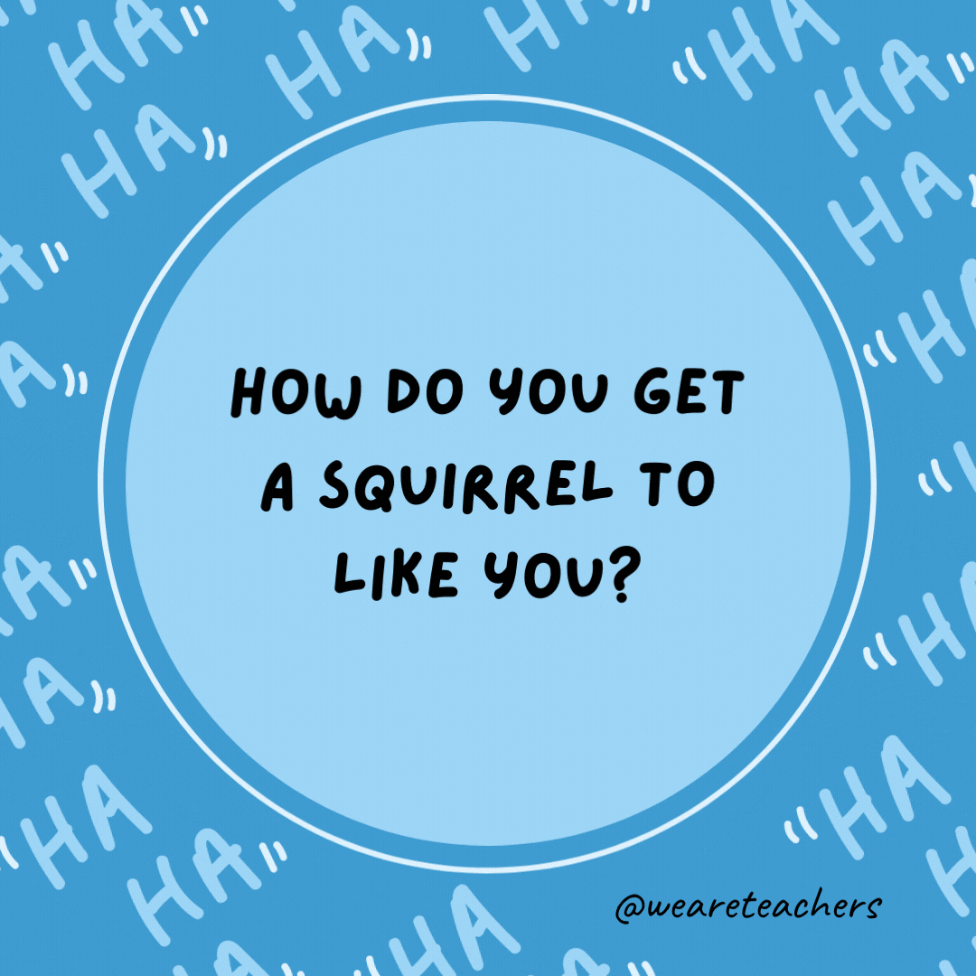 How do you get a squirrel to like you?  Act like a nut.- dad jokes for kids