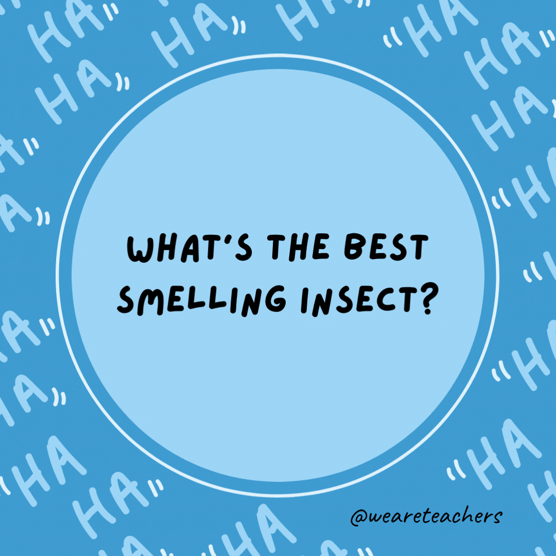 What's the best smelling insect?  A deodor-ant.- dad jokes for kids