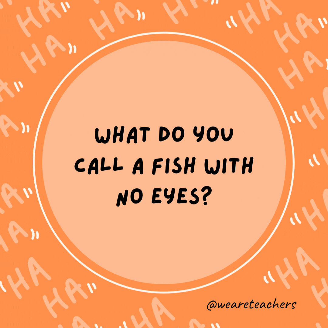 What do you call a fish with no eyes?  A fsh, as an example of dad jokes for kids