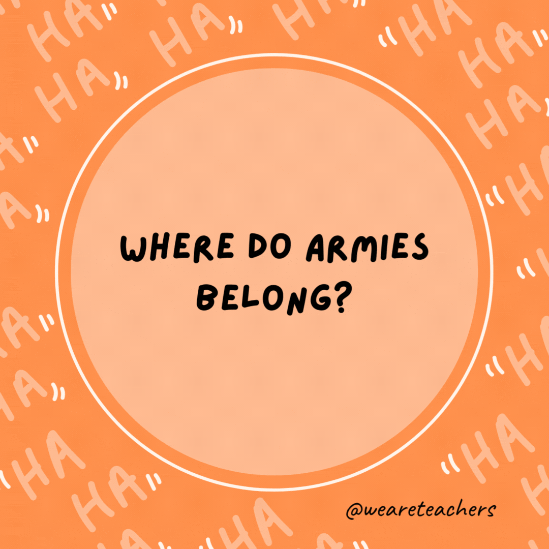 Where do armies belong? In your sleevies.- dad jokes for kids