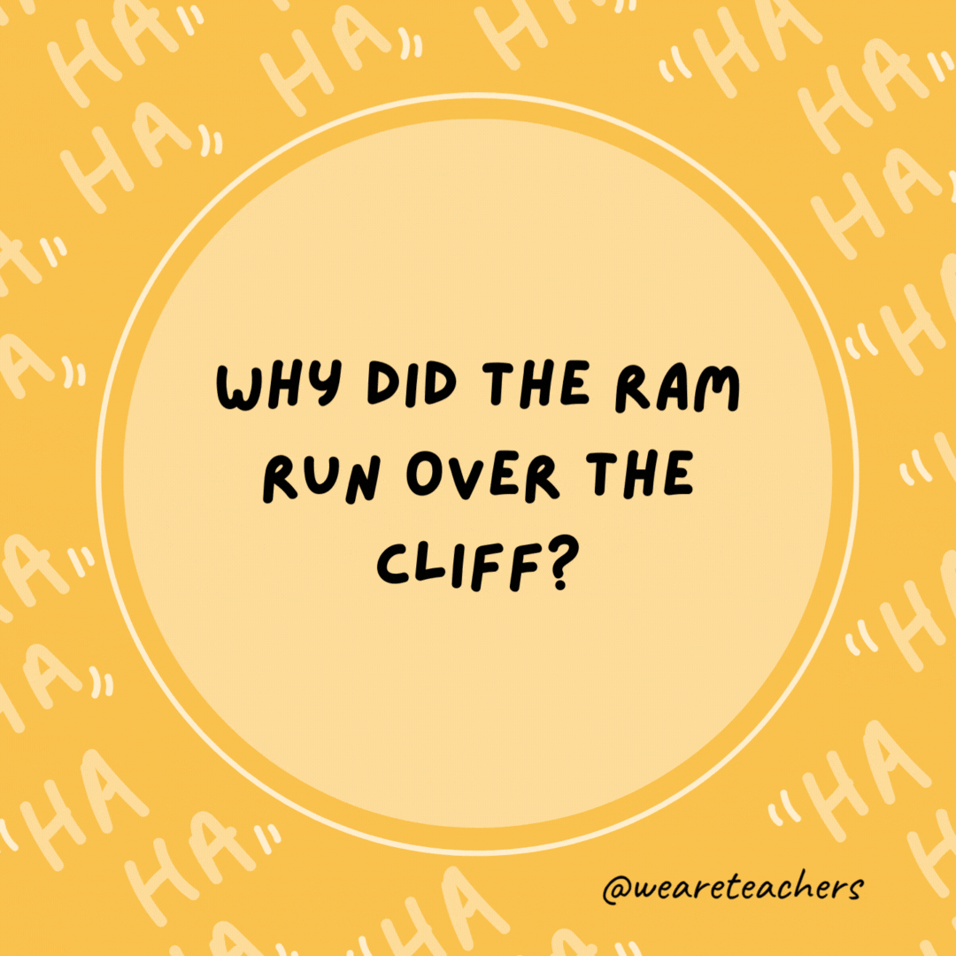Why did the ram run over the cliff? He didn’t see the ewe turn.