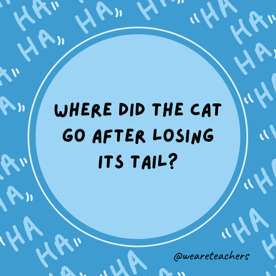 Where did the cat go after losing its tail? The retail store.- dad jokes for kids