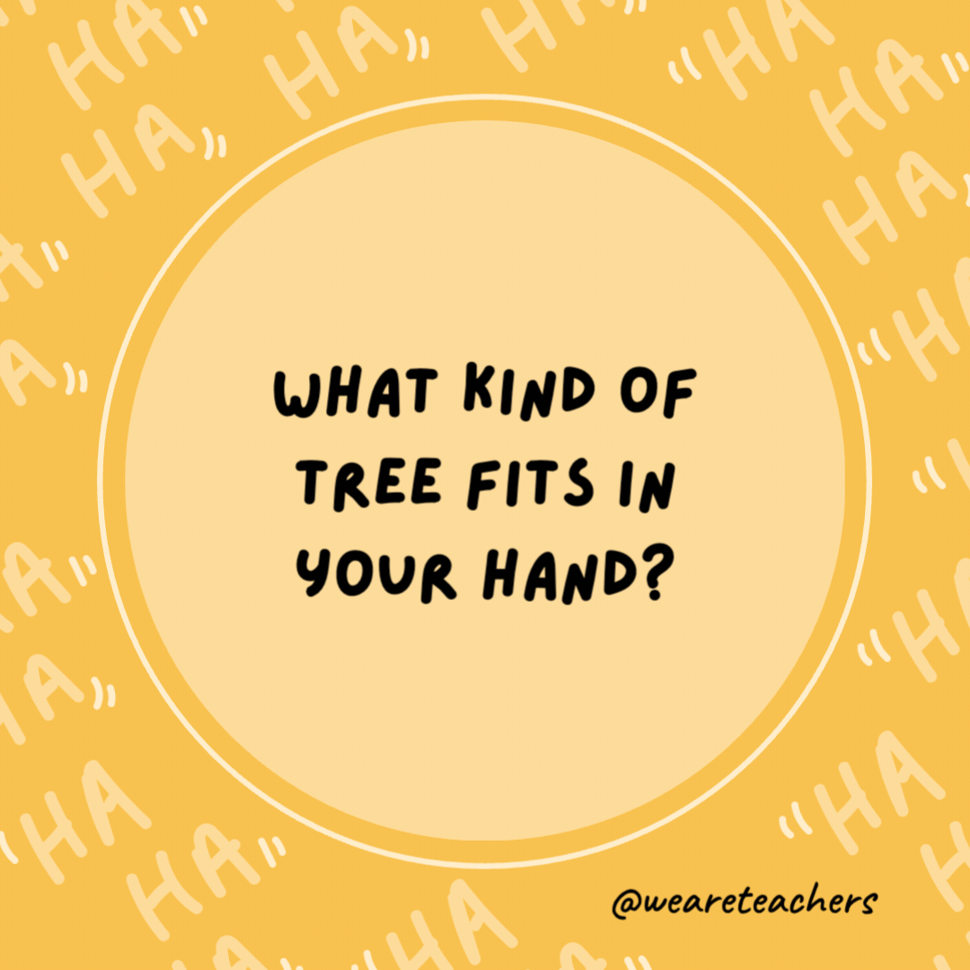 What kind of tree fits in your hand?

A palm tree.- dad jokes for kids