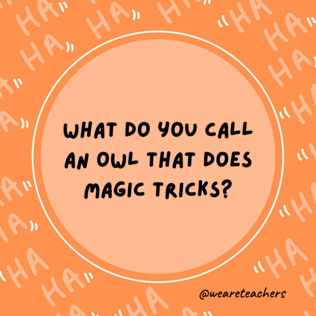 What do you call an owl that does magic tricks?

Hoodini.