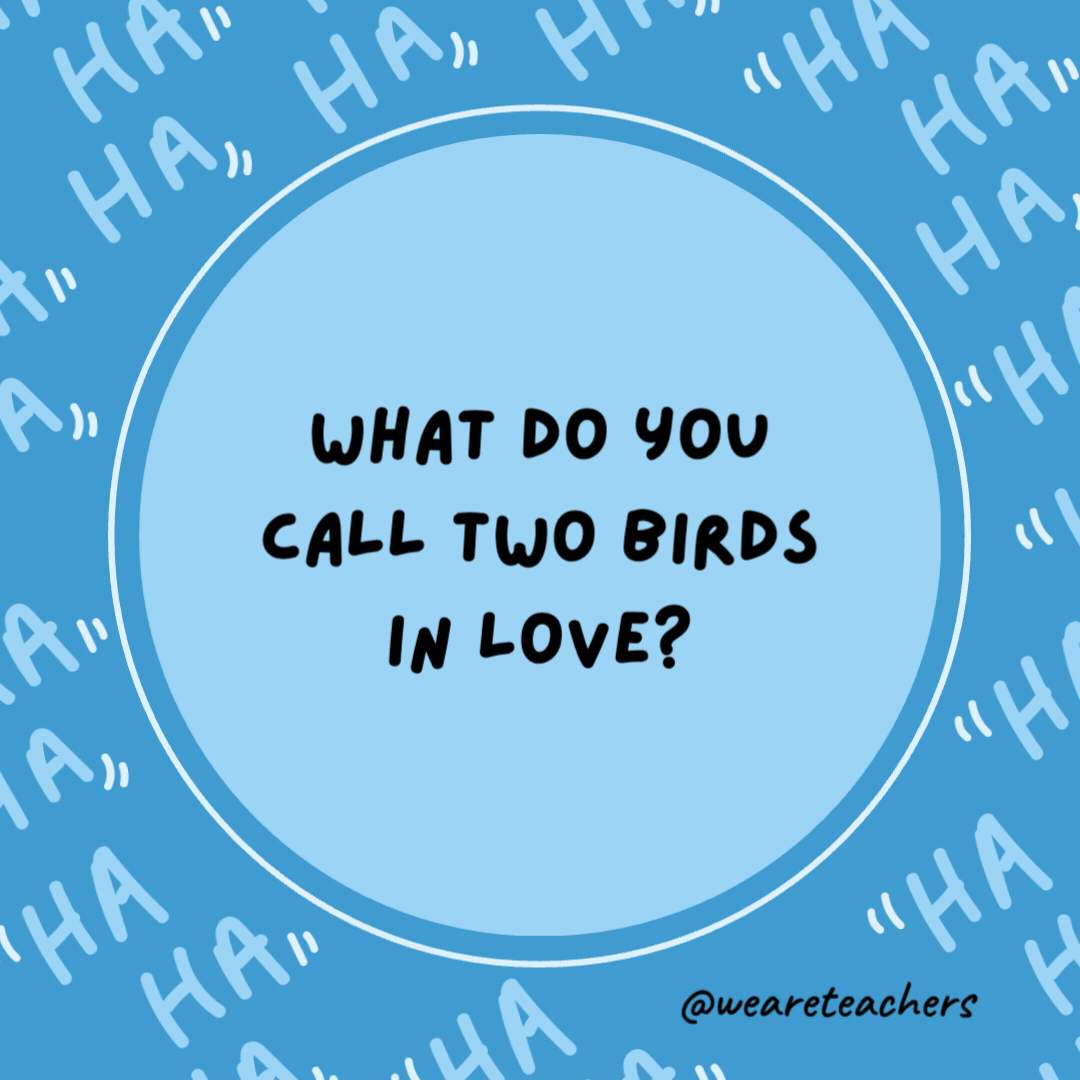 What do you call two birds in love?

Tweethearts.