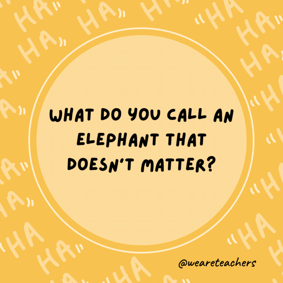 What do you call an elephant that doesn't matter?

Irrelephant.
