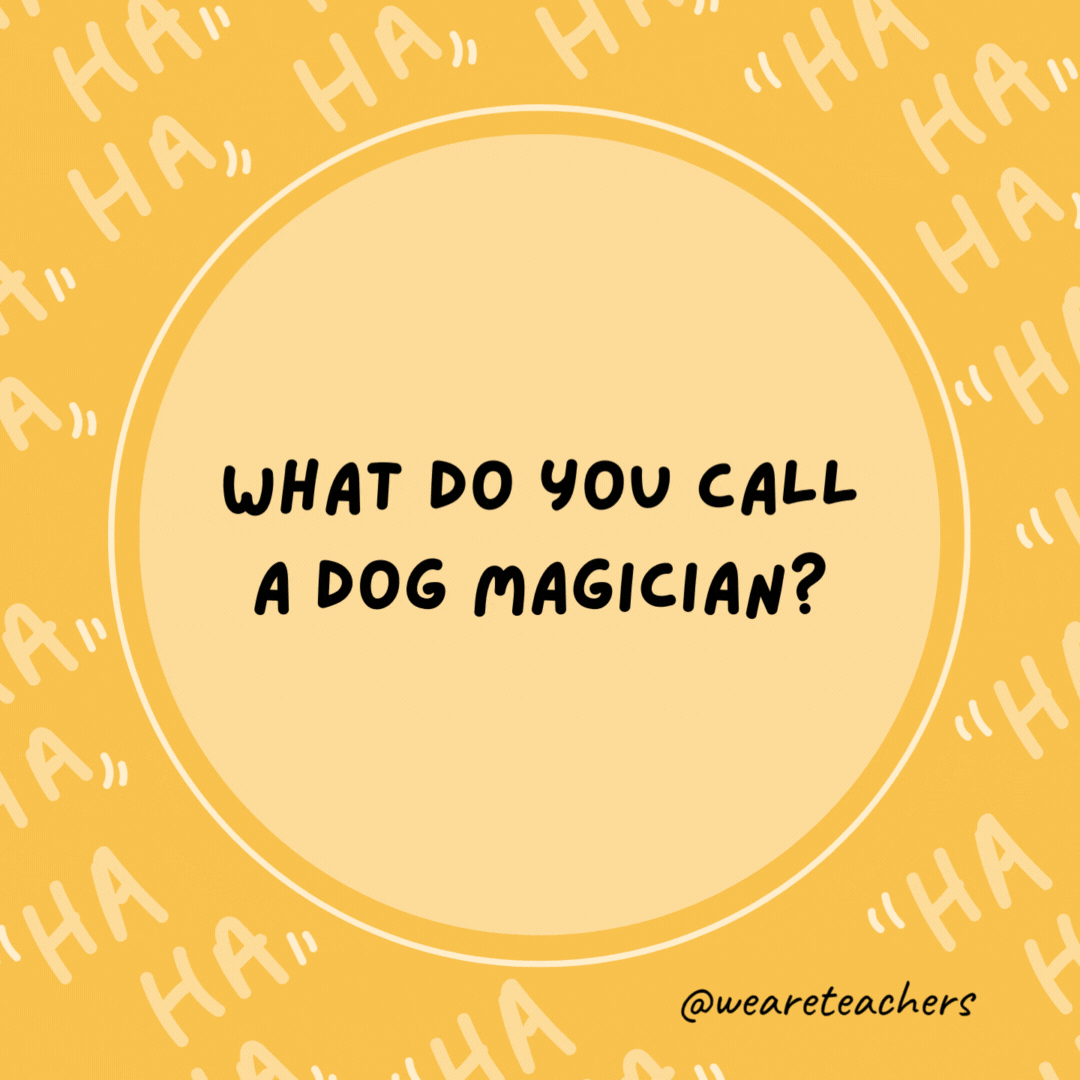 What do you call a dog magician?

A Labracadabrador.- dad jokes for kids