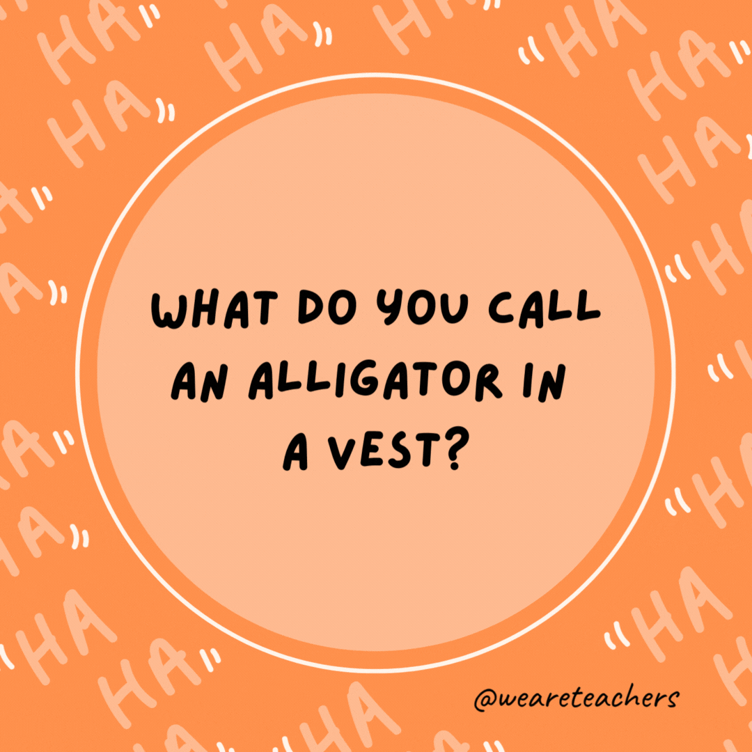 What do you call an alligator in a vest?

An investigator.- dad jokes for kids