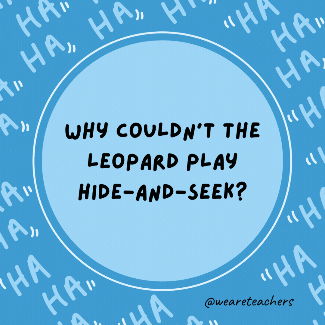 Why couldn’t the leopard play hide-and-seek?

Because he was always spotted.