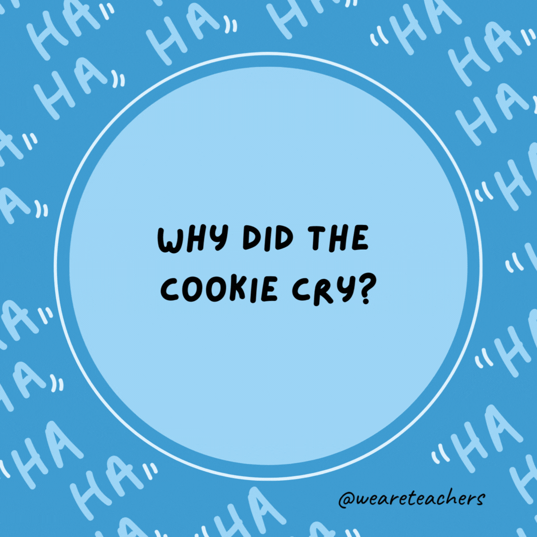 Why did the cookie cry?

Because his mother was a wafer so long.- dad jokes for kids