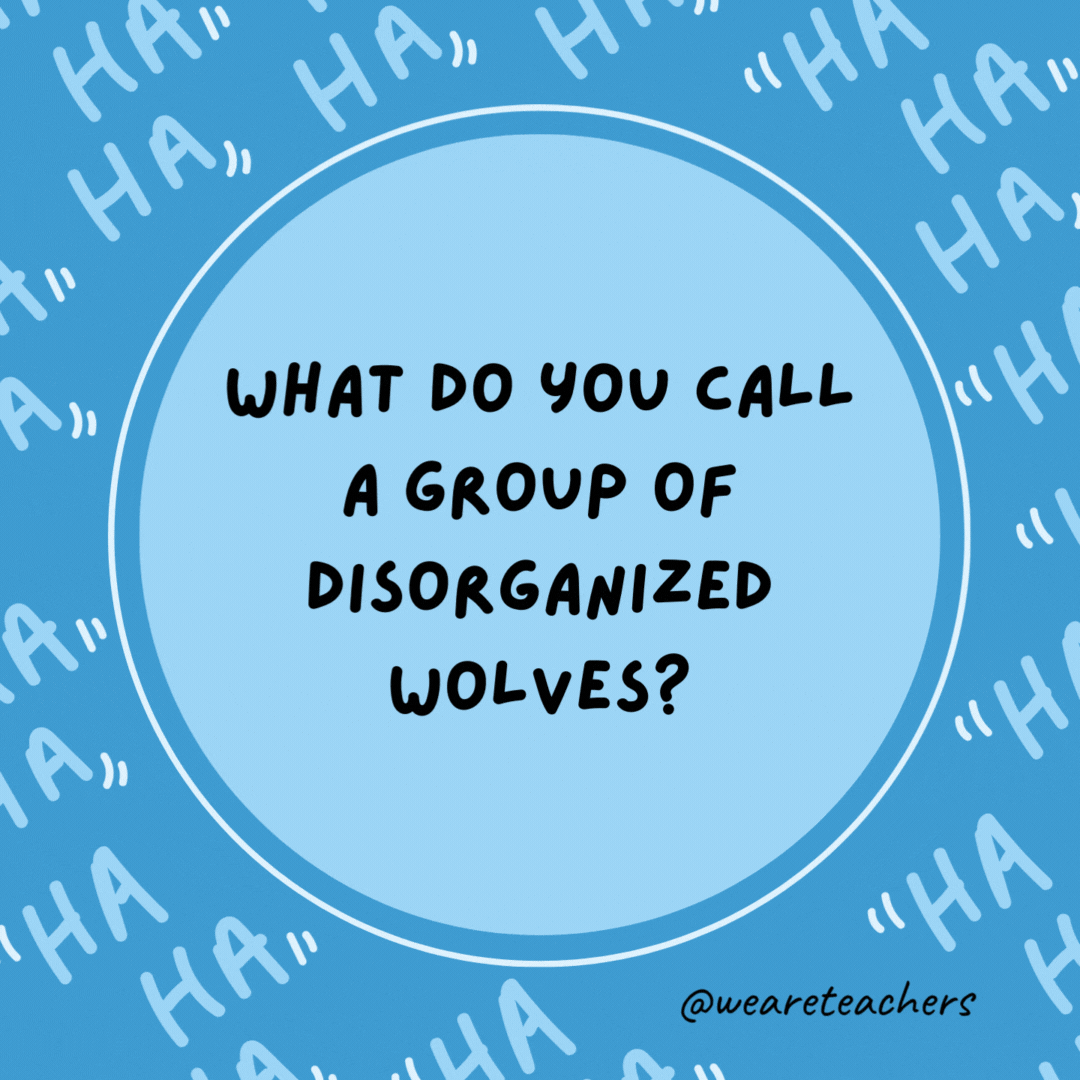 What do you call a group of disorganized wolves?

A howl-arious mess.
